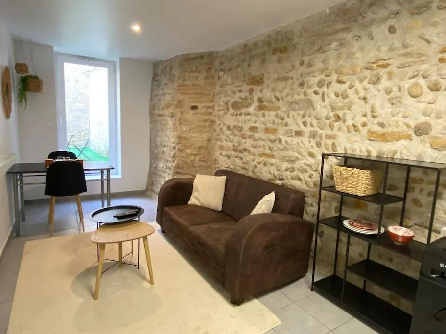 Vaste Appartement Renove - Centre Ville Bourg-en-Bresse Frankrig